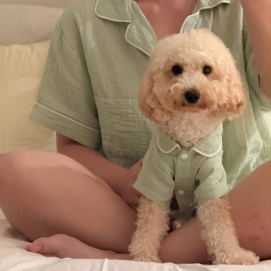 Woman wearing a sage green pajamas sitting on a bed with a small dog in a matching outfit.